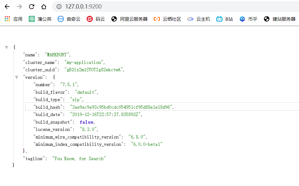 elasticsearch成功效果